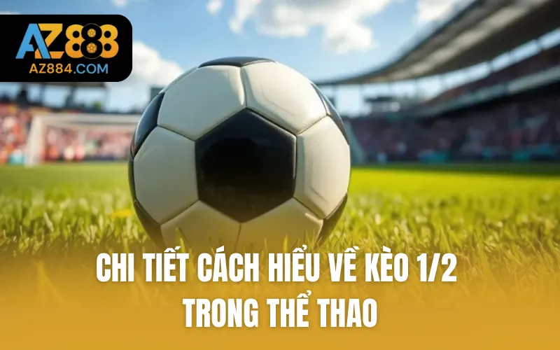 Chi tiết cách hiểu về kèo 1/2 trong thể thao